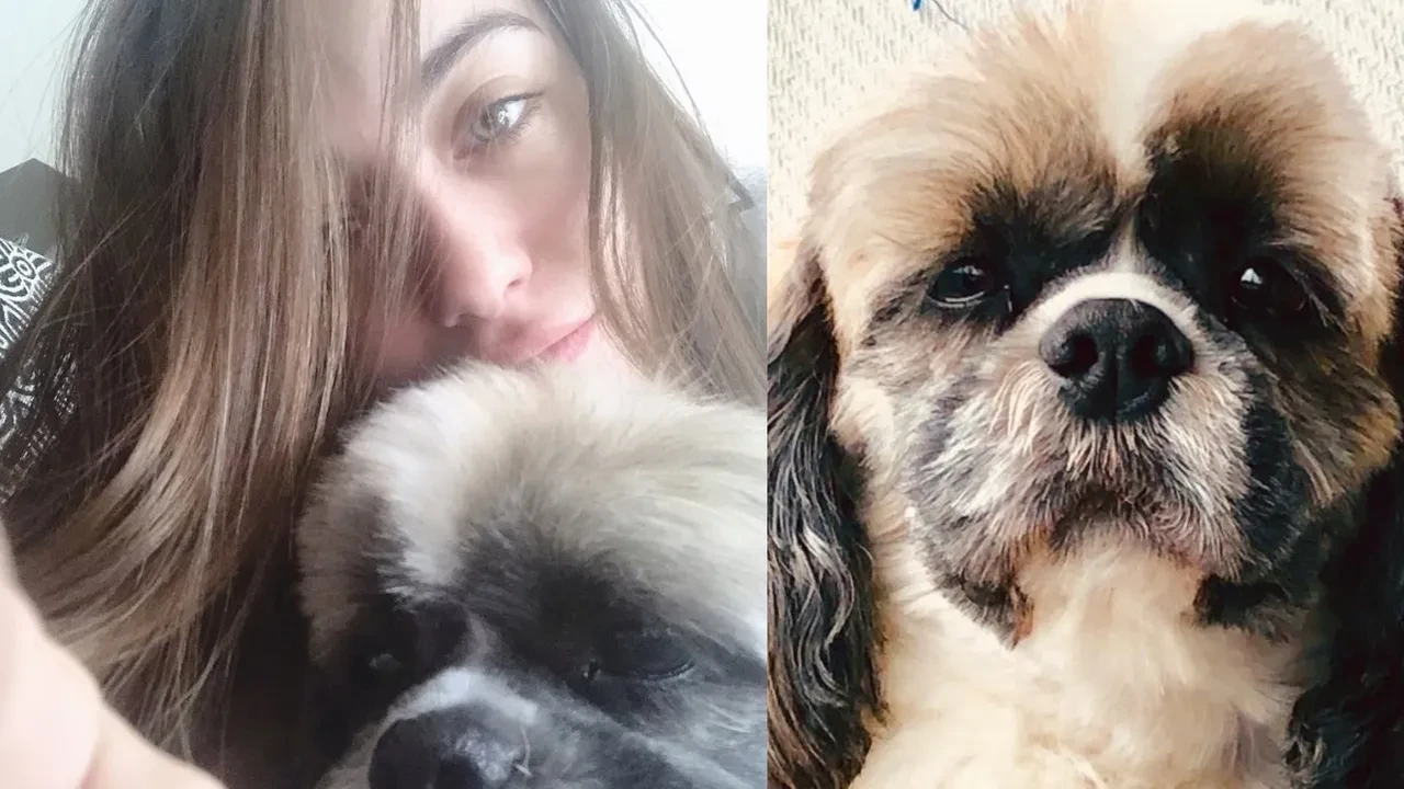 Hazal Kaya 12 yıllık can dostunu kaybetti! Acı haberi sosyal medyadan duyurdu