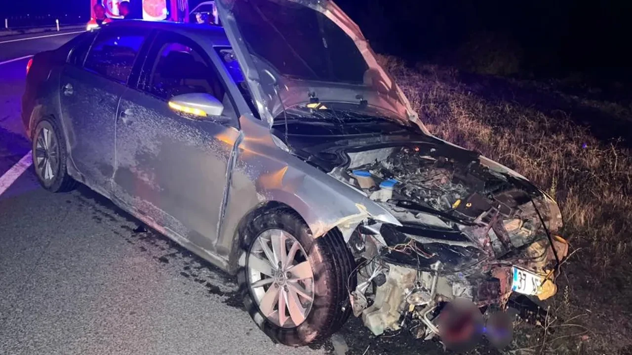Kastamonu'da otomobil domuz sürüsüne çarptı: 2 yaralı