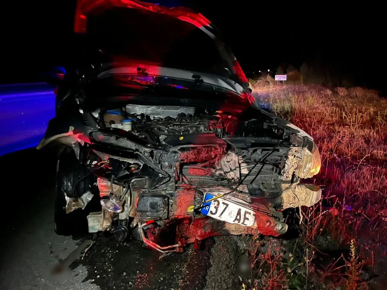 Kastamonu'da otomobil domuz sürüsüne çarptı: 2 yaralı