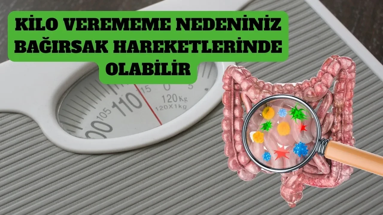Bağırsak hareketlerine dikkat! Kilo vermenizi engelliyor