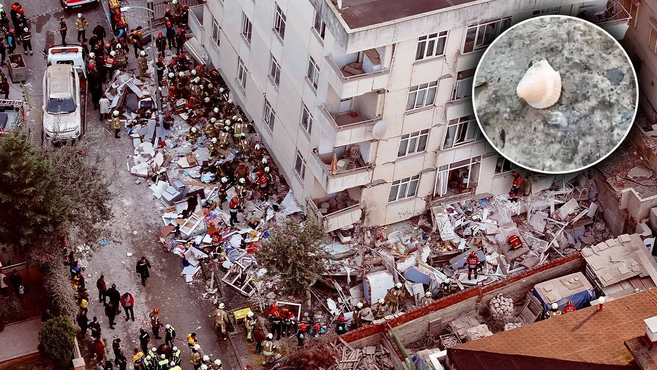 Maltepe'de 5 kişiye mezar olan binada skandal detay: Beton kalıntılarından deniz kabuğu çıktı