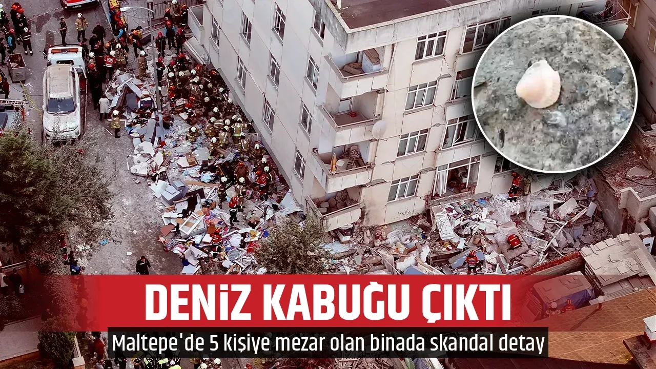 DENİZ KABUĞU ÇIKTI