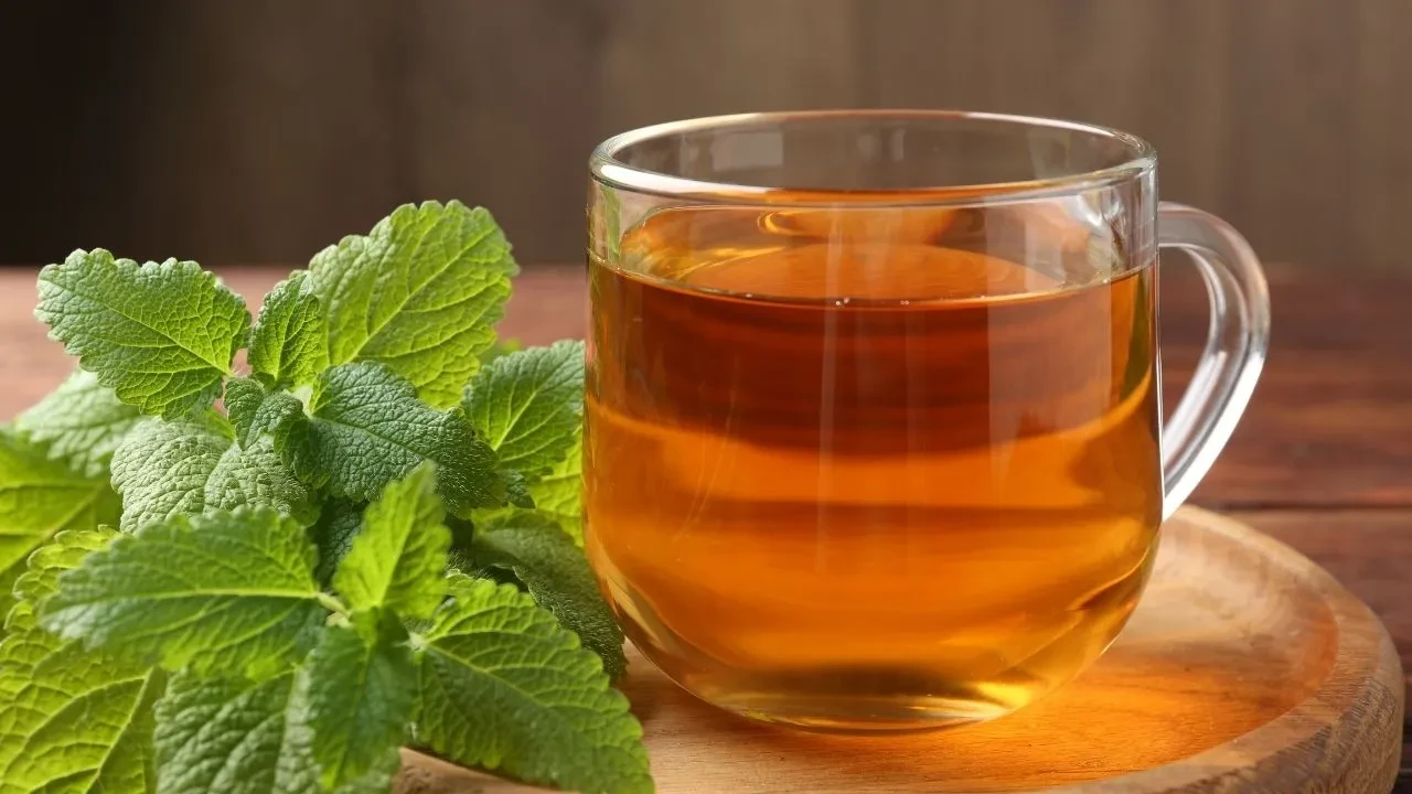 Nane limon nasıl yapılır, faydaları neler? Grip hastalığına birebir iyi gelen nane limon çayının gerçek tarifi