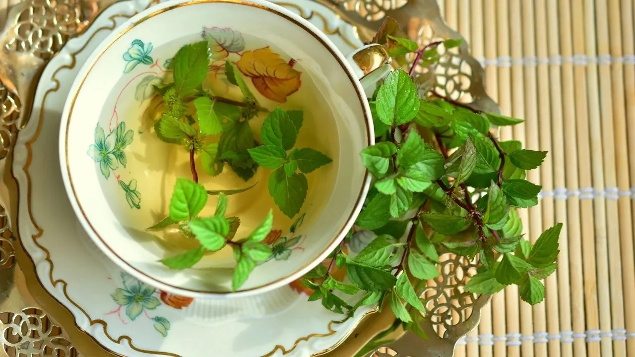 Nane limon nasıl yapılır, faydaları neler? Grip hastalığına birebir iyi gelen nane limon çayının gerçek tarifi