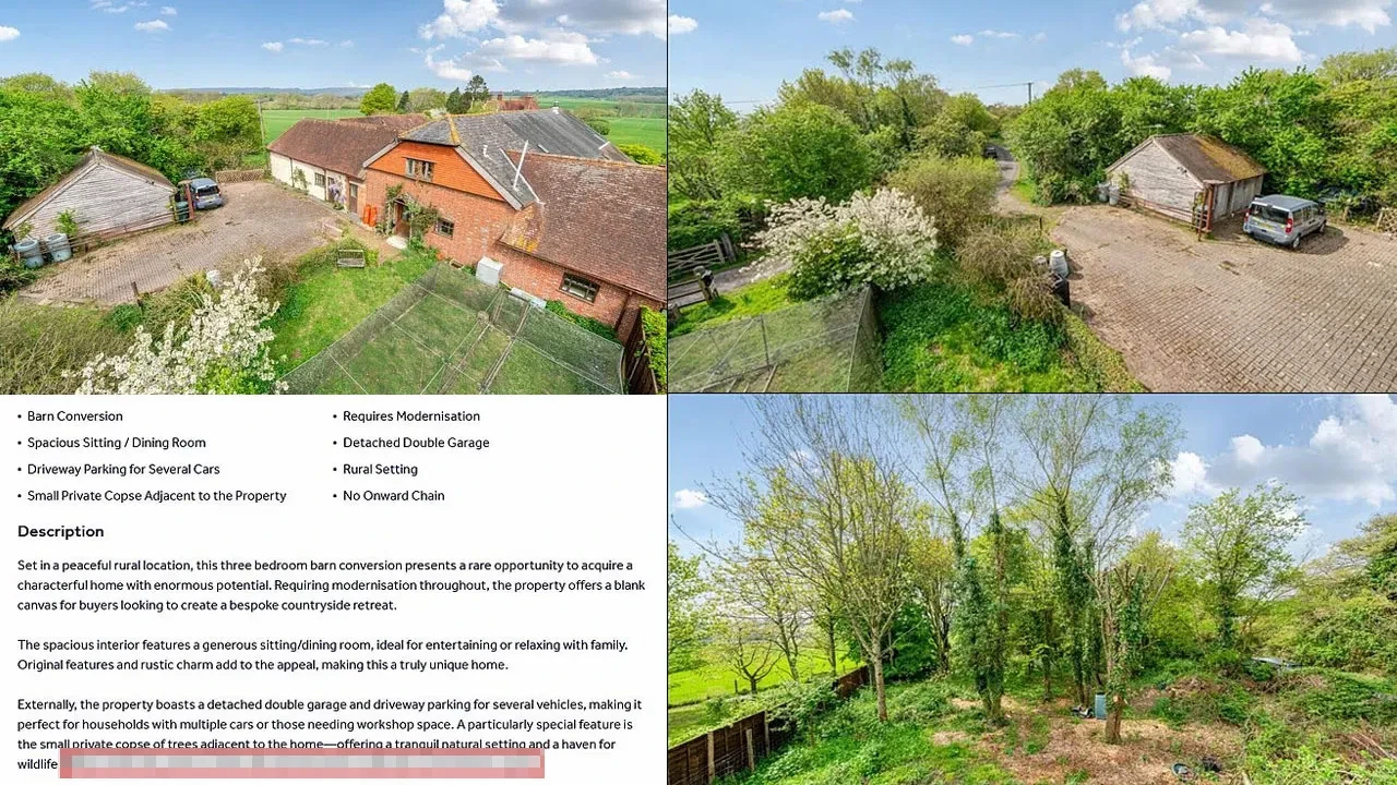 Çiftlik evi satışında küçücük yazılmış bir şart alıcıların tüylerini diken diken etti!