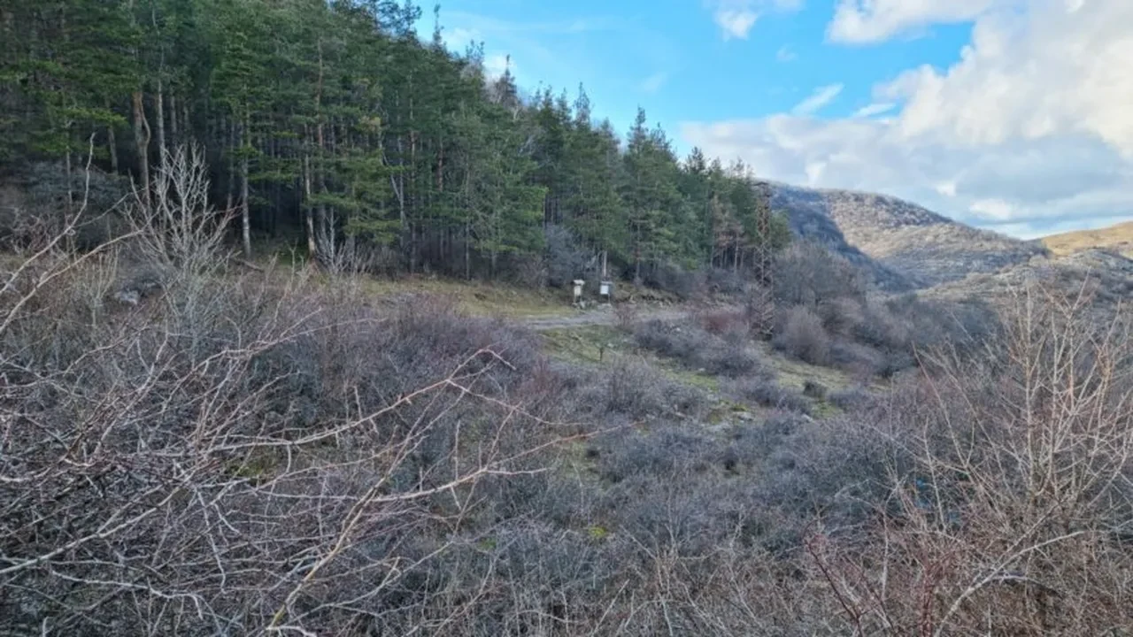 Bir haftada 6 kişi! Bulgaristan'da gizemli ölümler: Ülkede eşi benzeri olmayan bir vaka