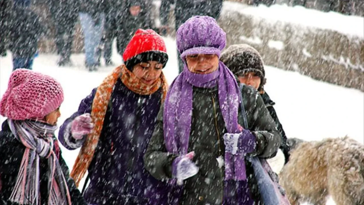 Kar yağışı bastırdı: Erzurum ve Van'da eğitime kar tatili