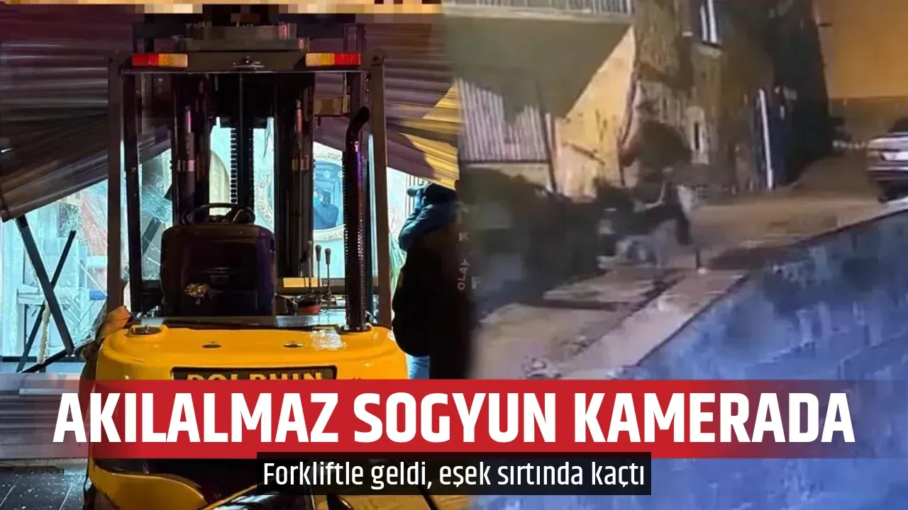 AKILALMAZ SOGYUN KAMERADA