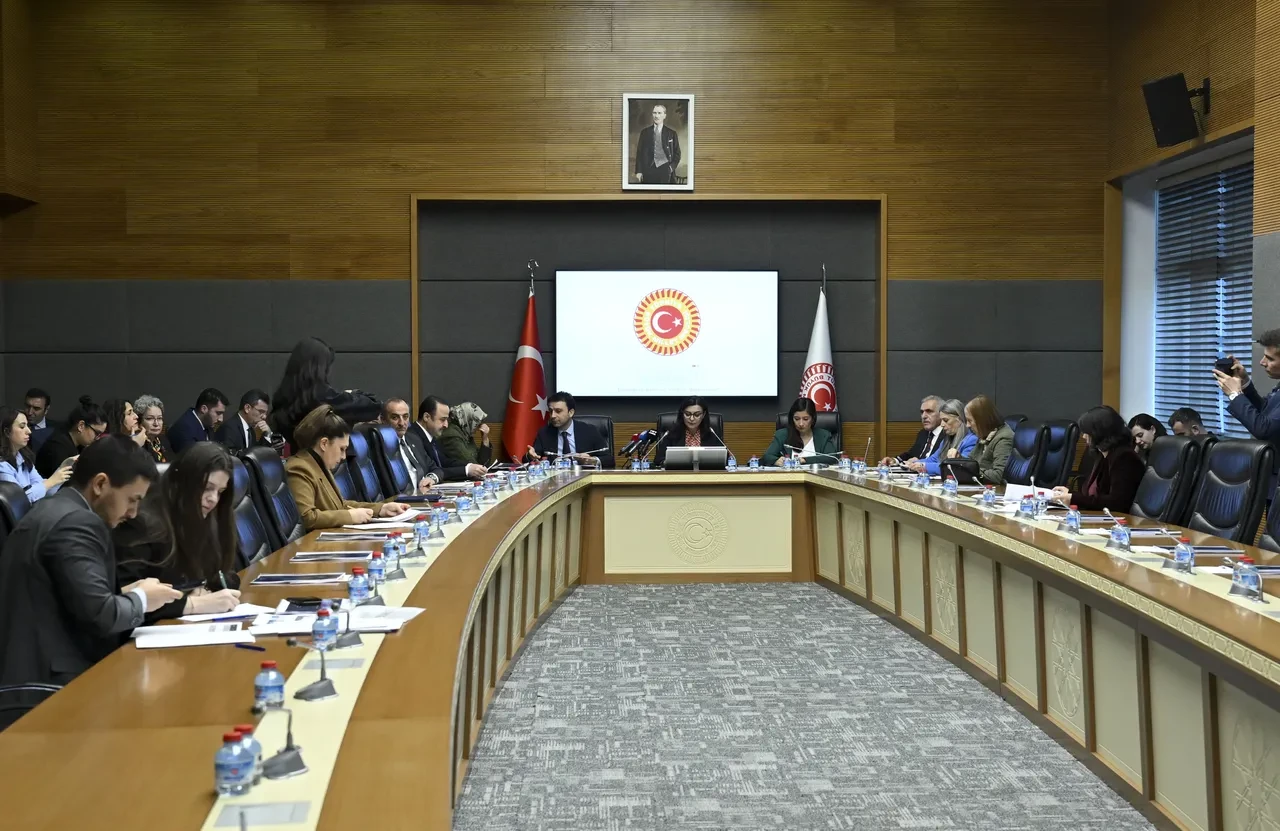 TBMM Komisyonu suça sürüklenen çocukları görüştü: Yaşa göre yaptırım teklifi