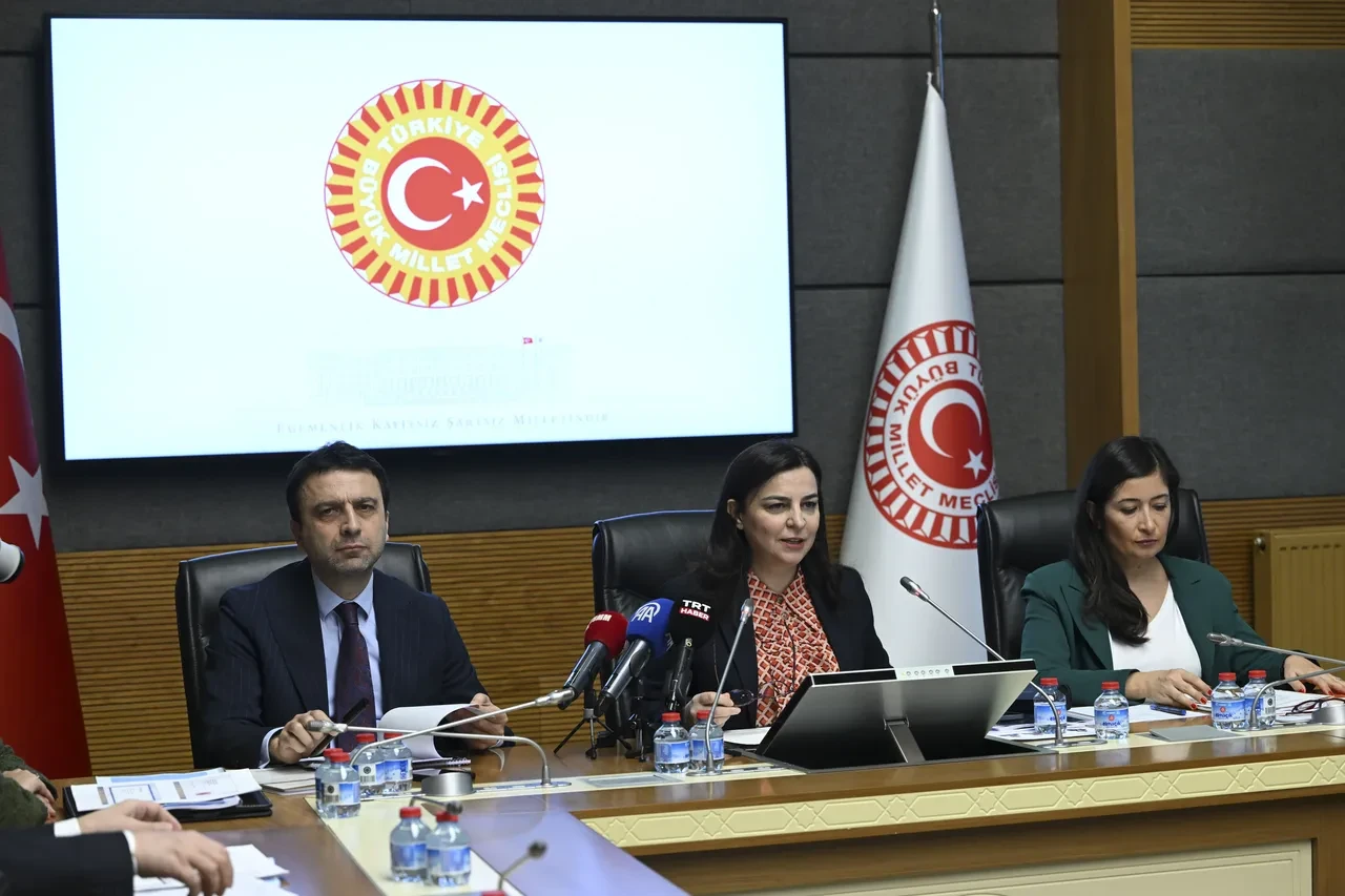 TBMM Komisyonu suça sürüklenen çocukları görüştü: Yaşa göre yaptırım teklifi