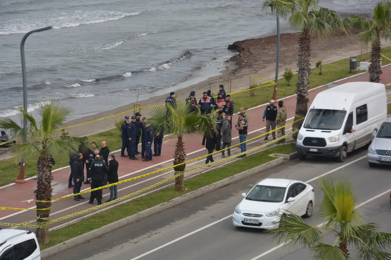 Ordu'da sahile vuran İHA parçasının İran yapımı olduğu ortaya çıktı