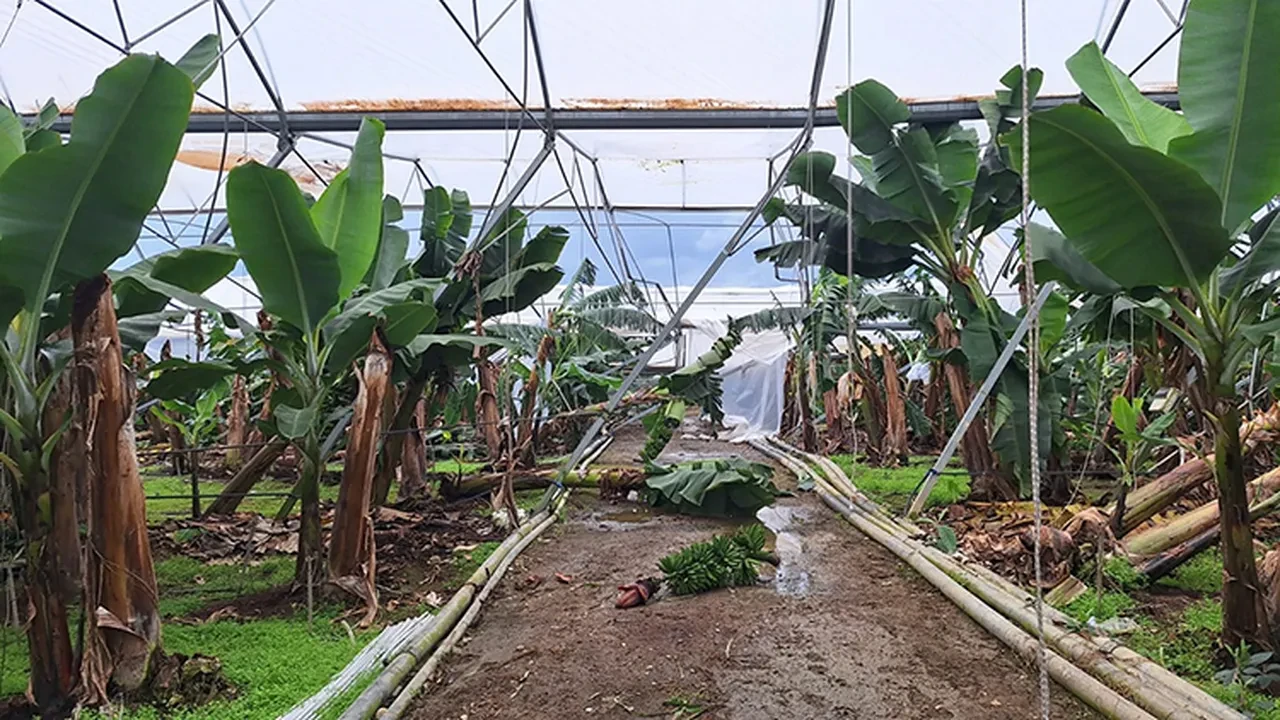 Selden etkilenen üreticilere 586 milyon lira hasar ödemesi yapılacak