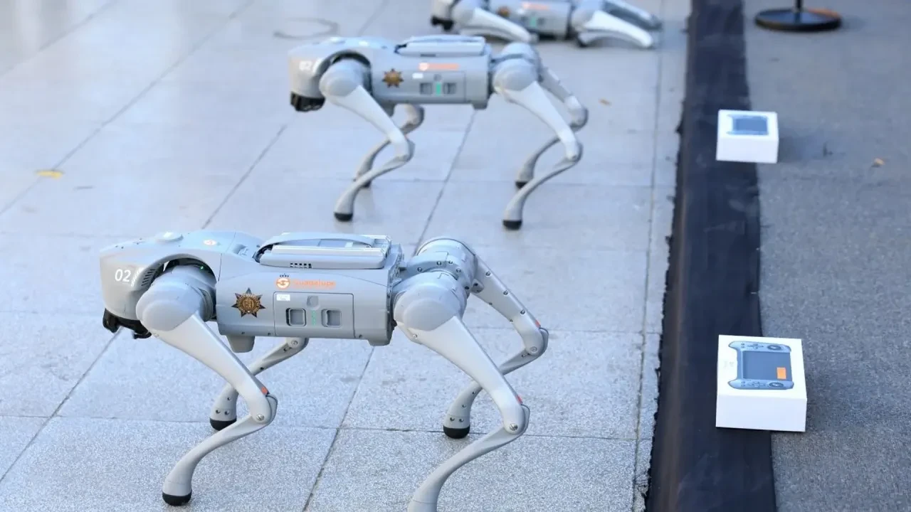 2026 Dünya Kupası'nda güvenliği robot köpekler sağlayacak