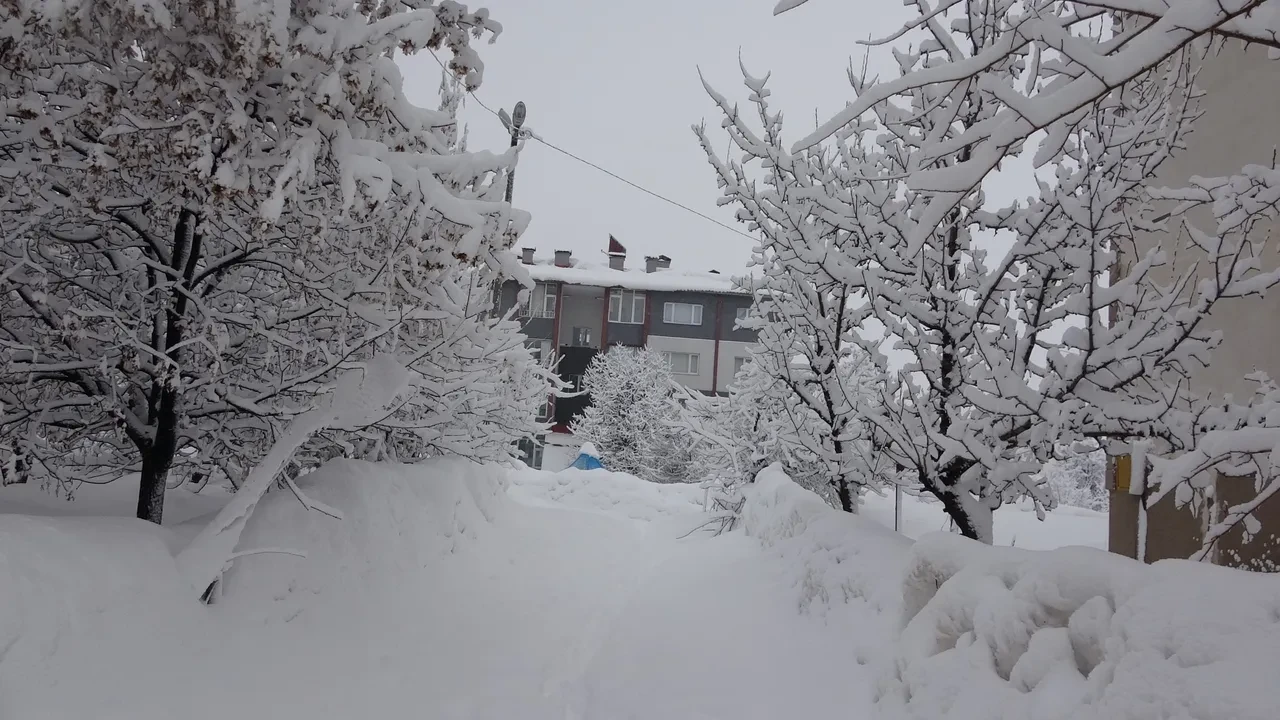 Bitlis'te yarın okullar tatil mi? 13 Şubat kar tatili haberi