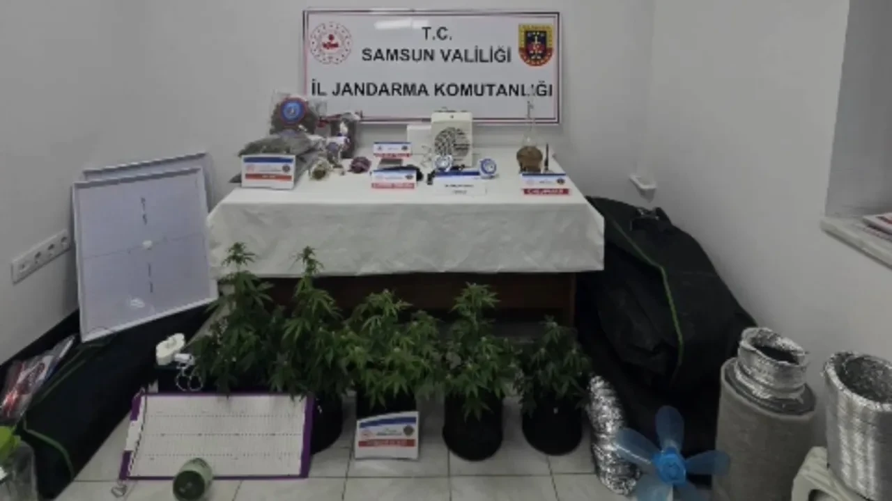 Elbise dolabında uyuşturucu serası! Özel iklimlendirme sistemi kurmuşlar