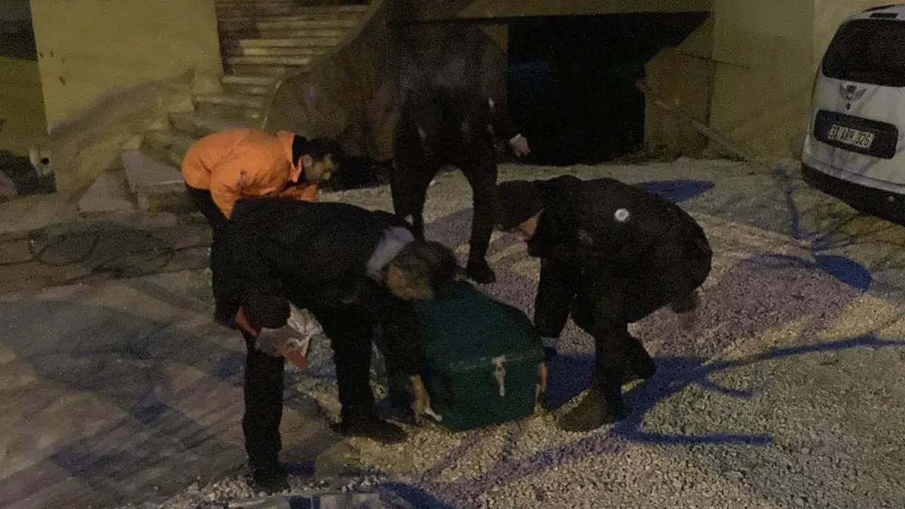 Mersin'de sırlarla dolu olay! Polis kavga ihbarına gitti banyoda cesetle karşılaştı