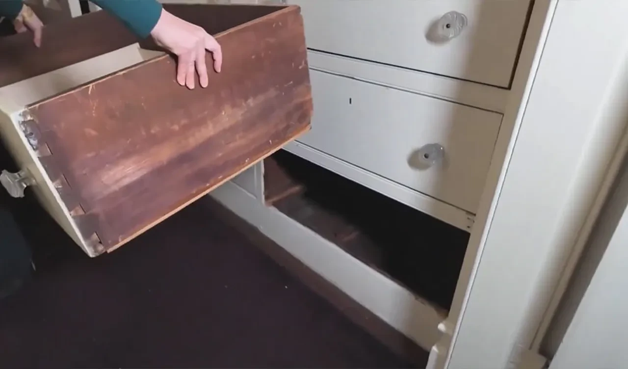 New York'ta sıra dışı keşif! Çekmeceye girip özgürlüklerine kavuşuyorlardı