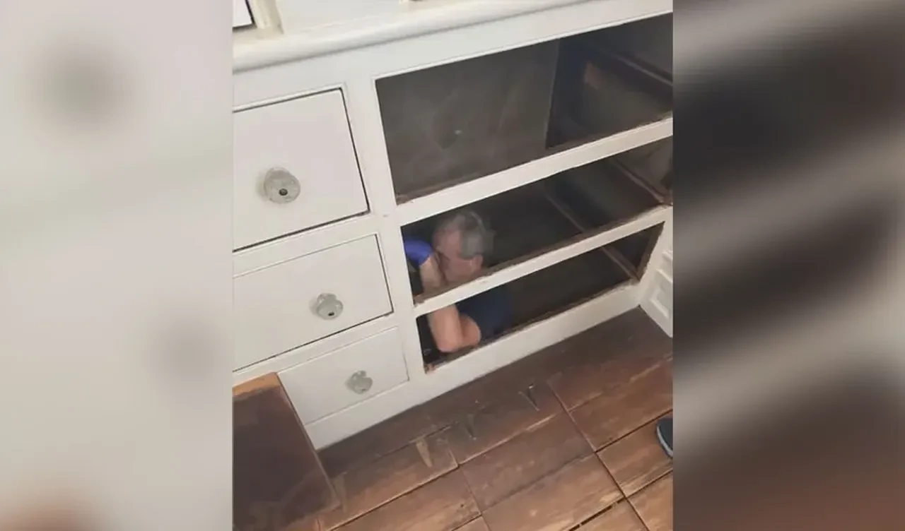 New York'ta sıra dışı keşif! Çekmeceye girip özgürlüklerine kavuşuyorlardı