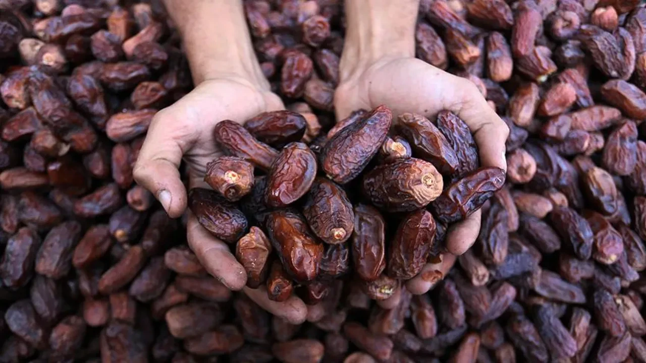 Ramazan'ın vazgeçilmez lezzeti! Fiyatı 150 lira ile 950 lira arasında