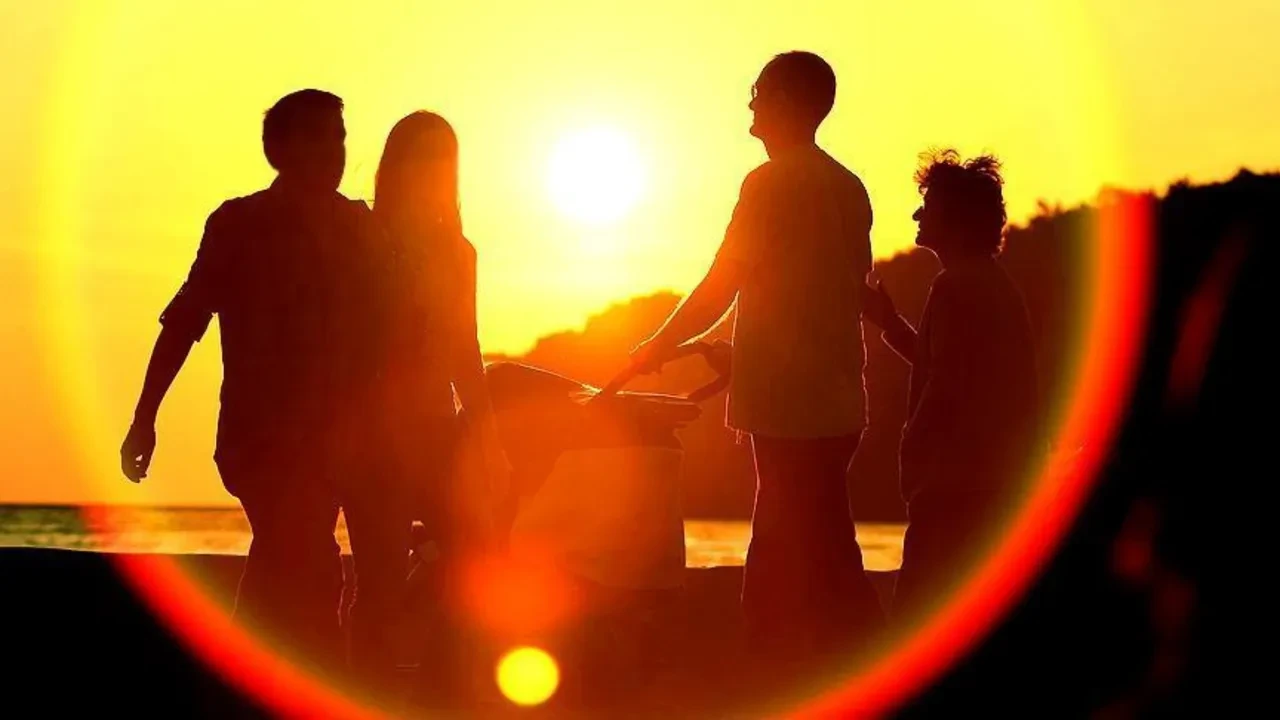 Avuç avuç D vitamini alıp hala yorgun musunuz? Eczacıların söylemeyi unuttuğu o 'eksik parça' olmadan içtiğiniz vitaminler çöp oluyor!