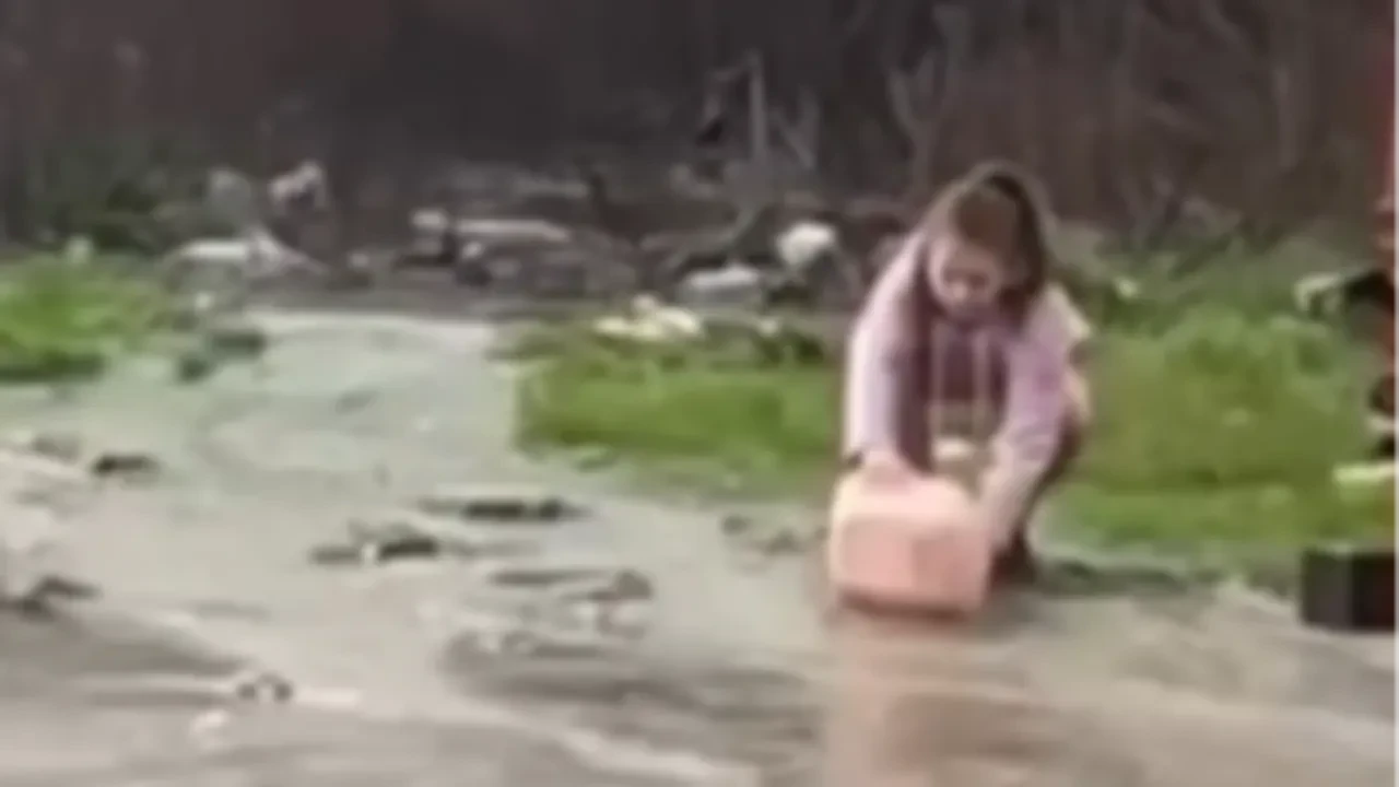 Bodrum'da gölet taştı balıklar ayaklarına gelince leğenle topladılar