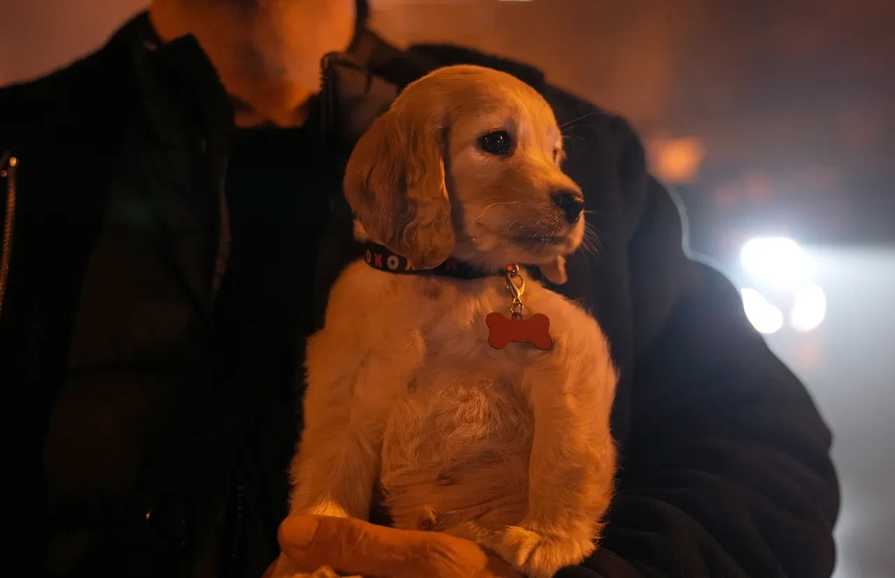 Kağıthane'de iş hanı dumanlara teslim oldu: 11 kişi ve 1 yavru köpek kurtarıldı