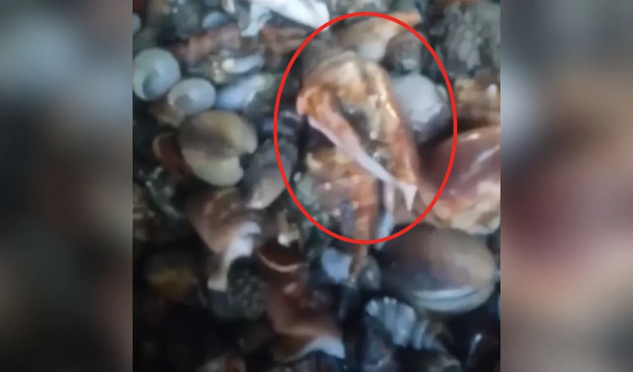 Kendi ölümünü kendi kaynattı! Hazırladıkları yemeği yiyen Filipinli vlogger ve arkadaşı hayatını kaybetti