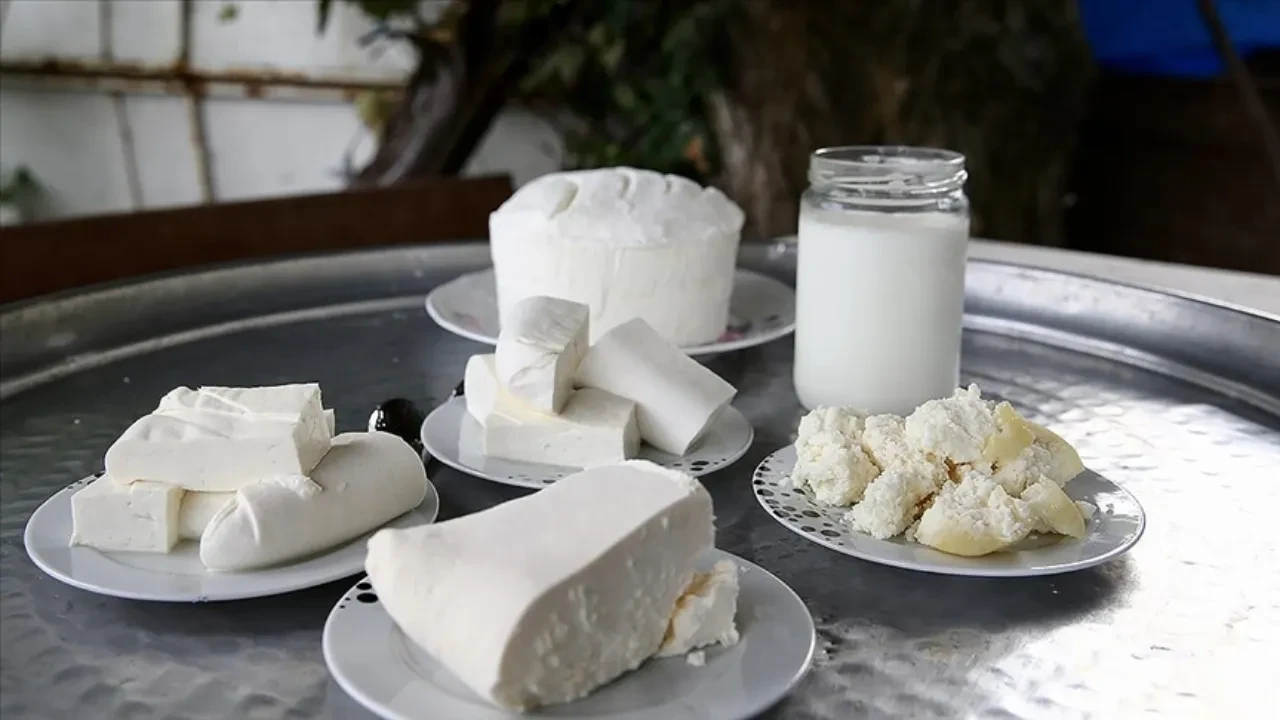 TÜİK süt ve süt ürünleri üretimi verilerini açıkladı