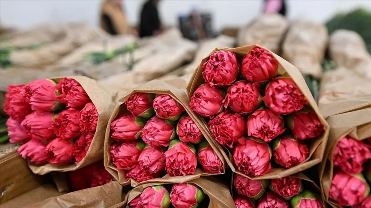 14 Şubat çiçek notları ve sözleri 2026! 14 Şubat Sevgililer Günü kısa çiçek ve hediye not örnekleri