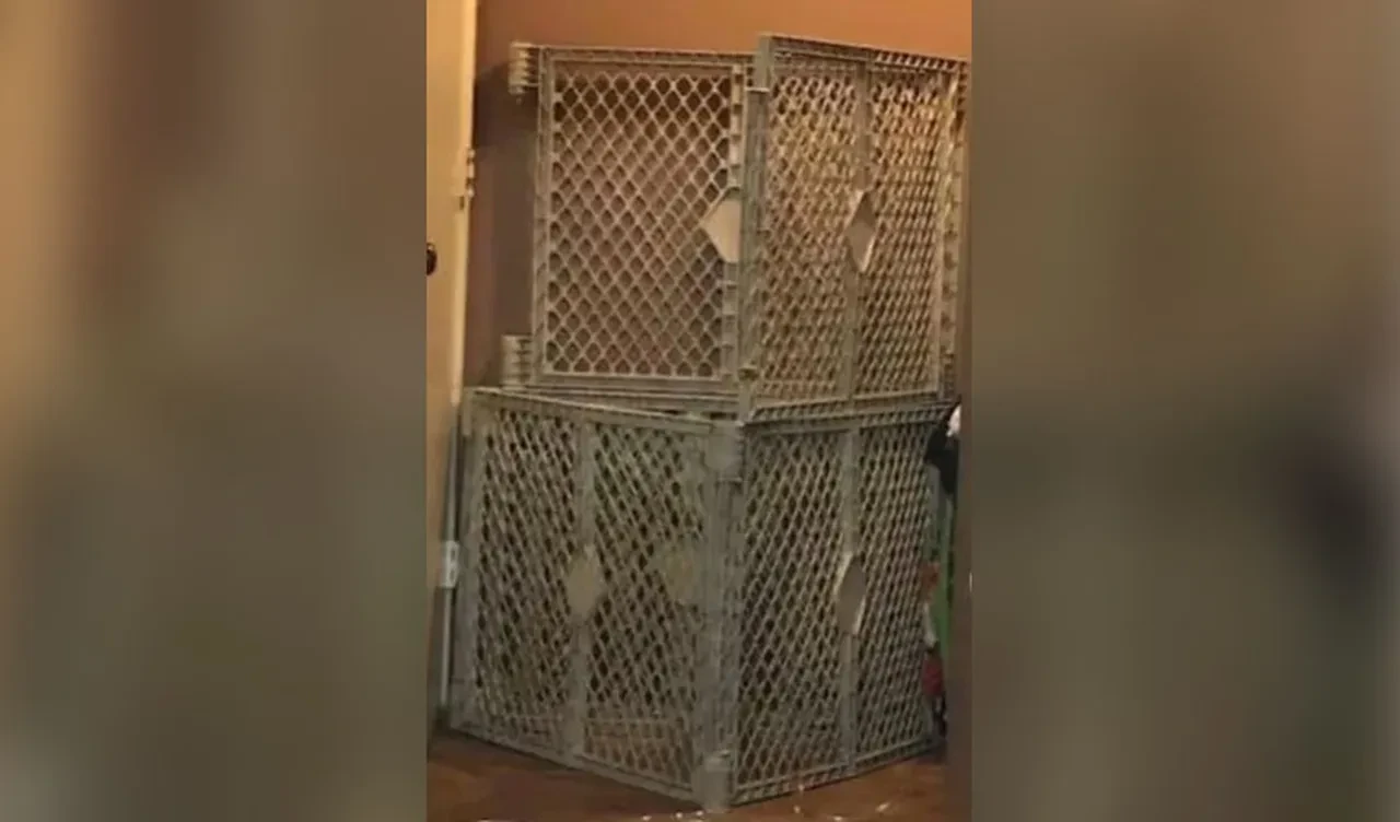 ABD'de akılalmaz olay! Evlatlık çocuklarını yıllarca kafeste tuttu: Gerekçesi şoke etti
