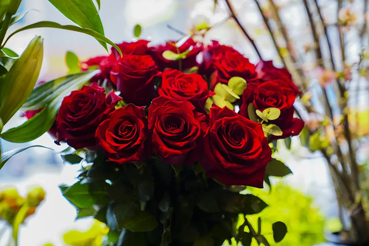 Çiçekçilerde 14 Şubat Sevgililer Günü alarmı: Akşama bırakan yandı! Fiyatları duyunca inanamayacaksınız