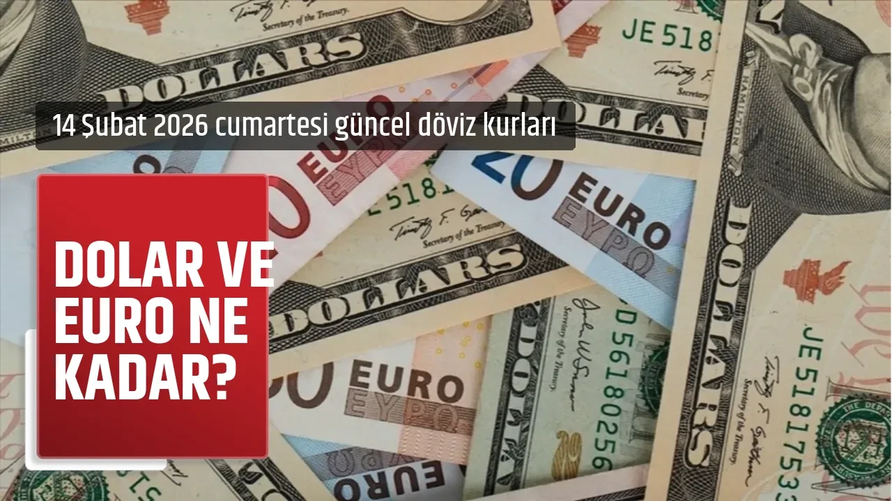 DOLAR VE EURO NE KADAR?