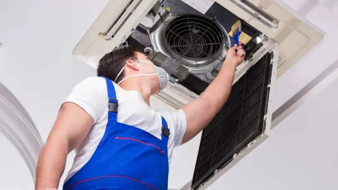 İÜ İSTANBUL TIP FAKÜLTESİ DEKANLIĞI (ÇAPA)