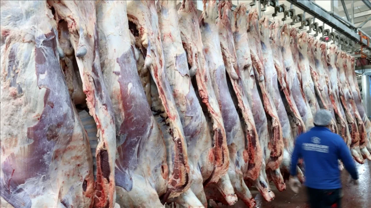 Kırmızı ette endişeye Et ve Süt Kurumu'ndan açıklama