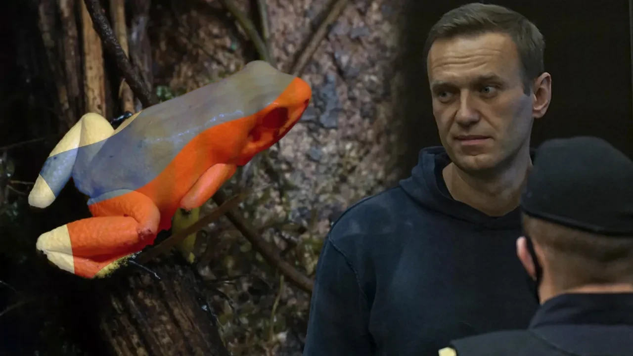 Rus muhalif Aleksey Navalnıy’ın kurbağa zehriyle öldürüldüğü iddiası Rusya'yı küplere bindirdi