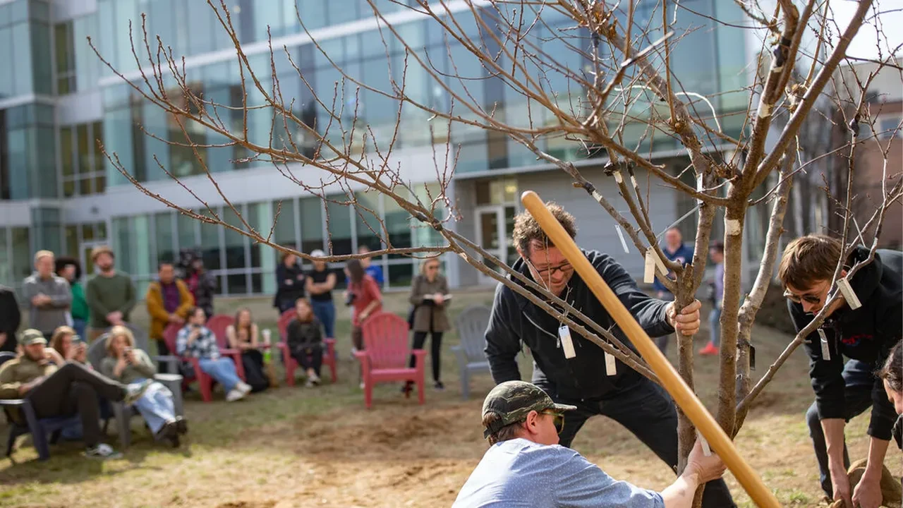 Sadece bir ağaçta 40 meyve yetişiyor! Formülü uzman isim açıkladı
