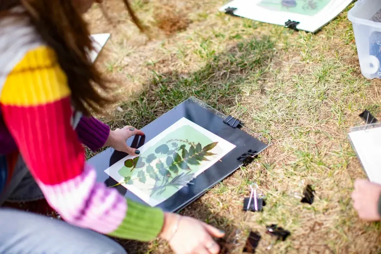 Sadece bir ağaçta 40 meyve yetişiyor! Formülü uzman isim açıkladı