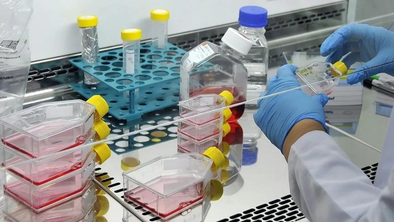 İlaç Sanayi Yöneticisi