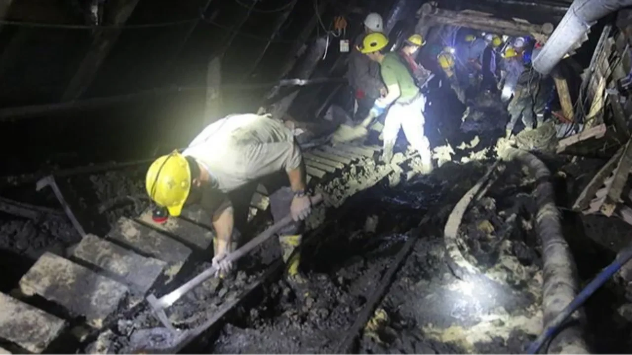 Kömür Ocak İşletmecisi