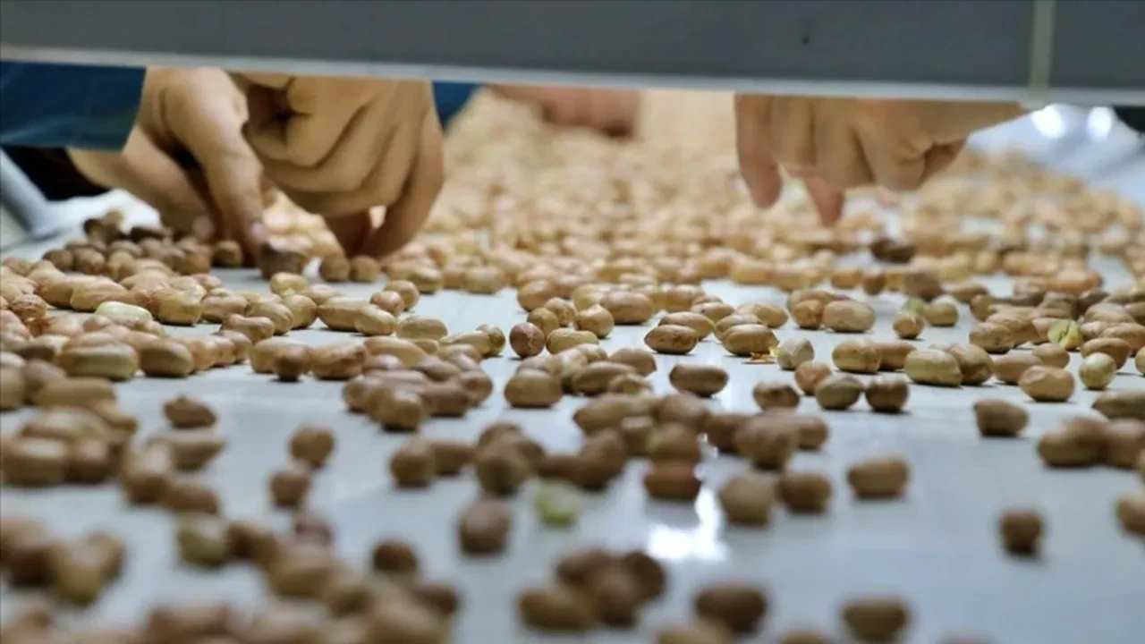 Yer Fıstığı Tüccarı