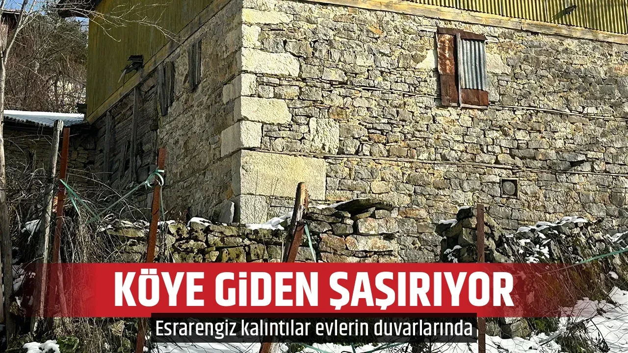 KÖYE GİDEN ŞAŞIRIYOR