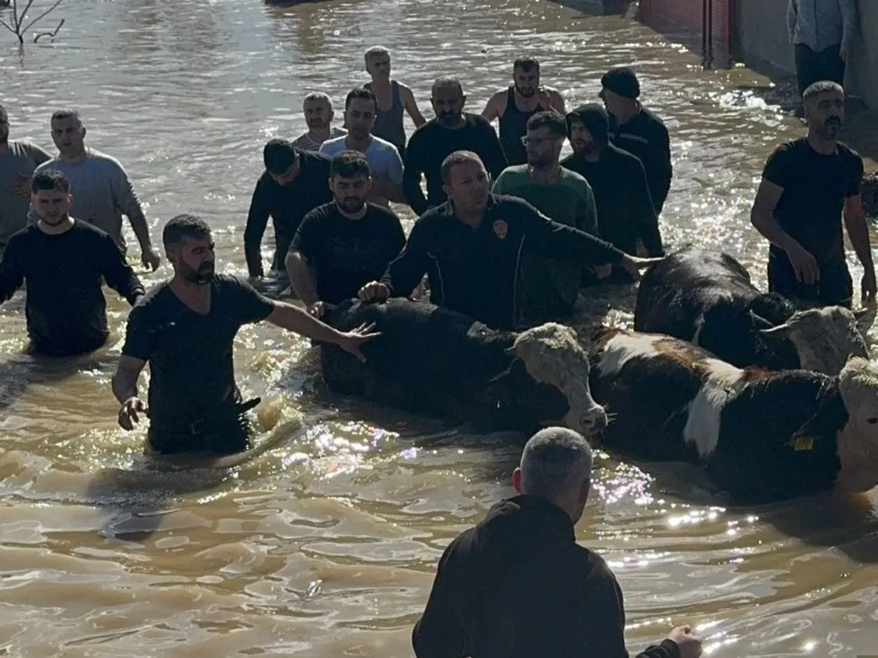Manisa'yı sağanak vurdu! Gediz Nehri taştı, çok sayıda kişi mahsur kaldı