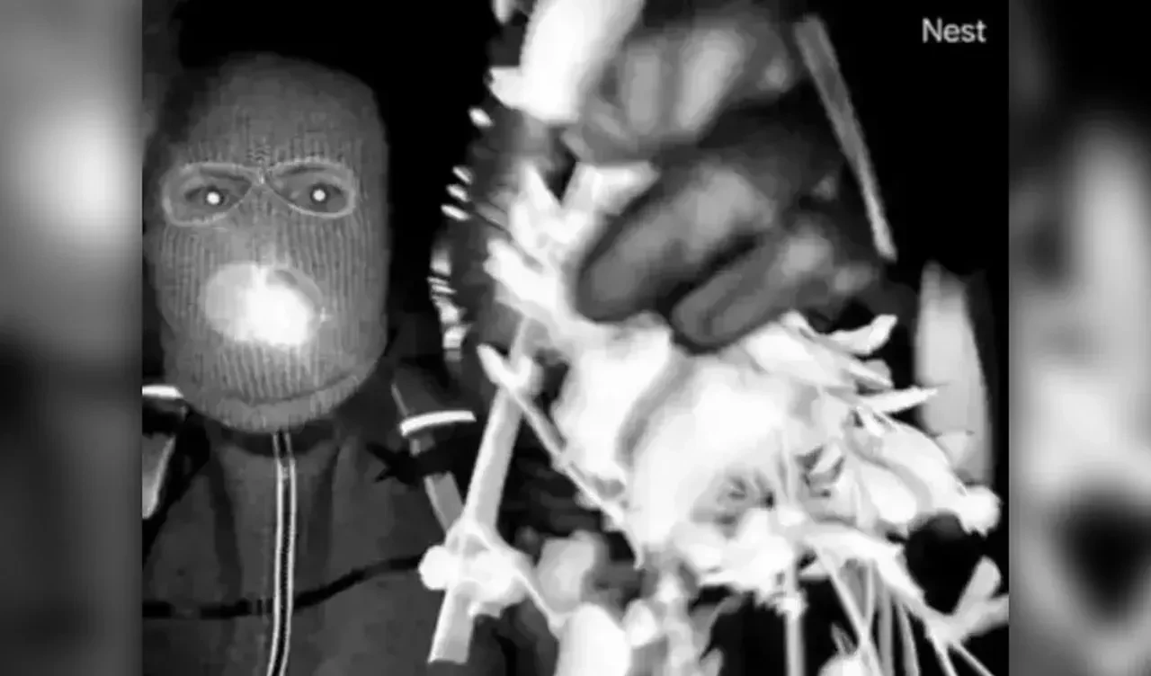 Sunucu Savannah Guthrie'nin annesinin kaçırılma olayında 'DNA' gelişmesi