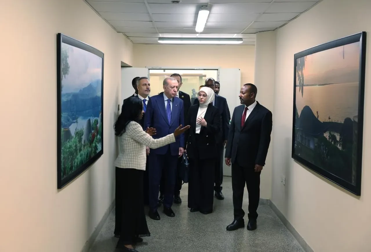 Afrika Boynuzu'nda tarihi zirve! Cumhurbaşkanı Erdoğan'dan Etiyopya’da kritik 'Somaliland' açıklaması