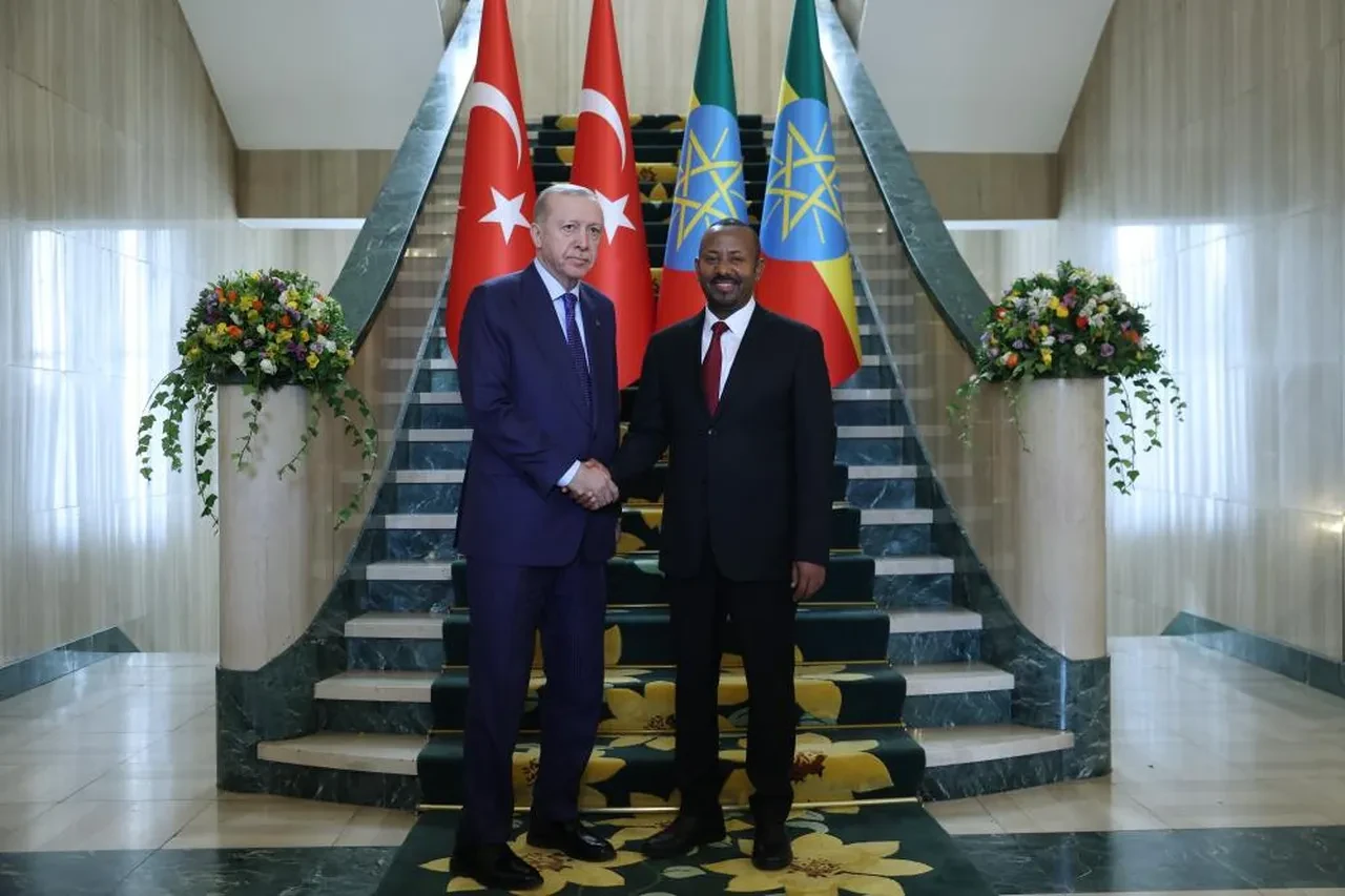 Afrika Boynuzu'nda tarihi zirve! Cumhurbaşkanı Erdoğan'dan Etiyopya’da kritik 'Somaliland' açıklaması