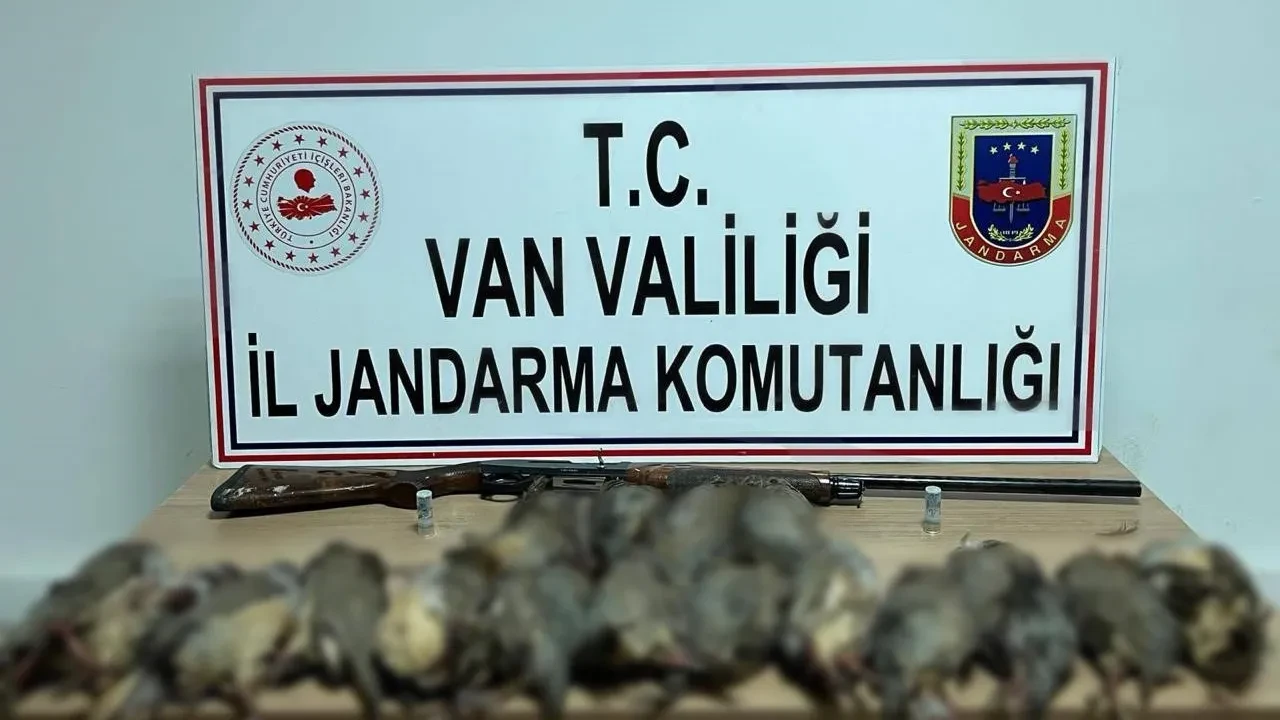 Ava gitti avlandı! Kaçak keklik avcısına 87 bin TL ceza