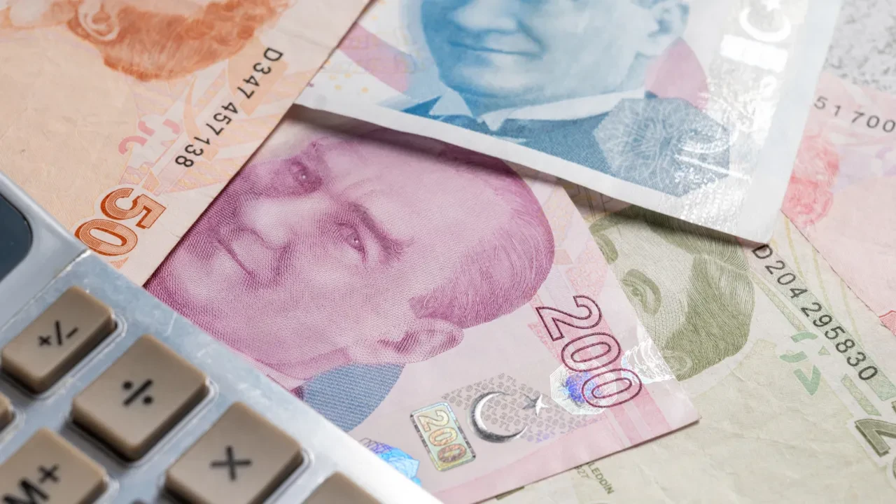 Tamamlayıcı Emeklilik Sistemi 