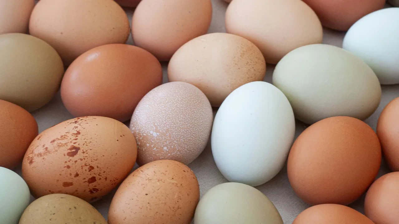 Sahurda haşlanmış yumurta mı, tavada yumurta mı? En uzun süreli tok tutan yumurta