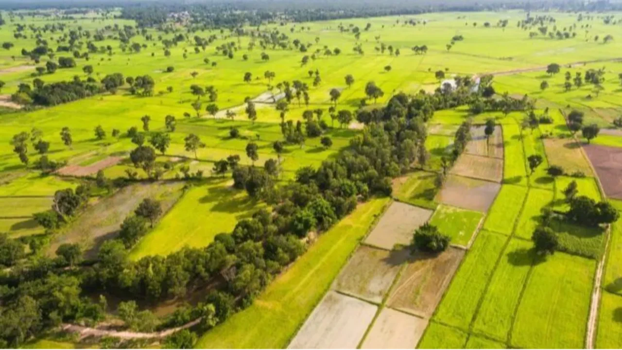 Tapuda milyonları ilgilendiren gelişme! Düzenlemeden en çok etkilenecek 8 il belli oldu