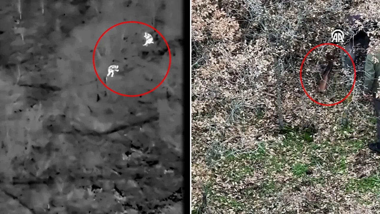 Termal drondan kaçamadı! Kaçak avcılık yapan 2 kişi kameraya böyle yakalandı